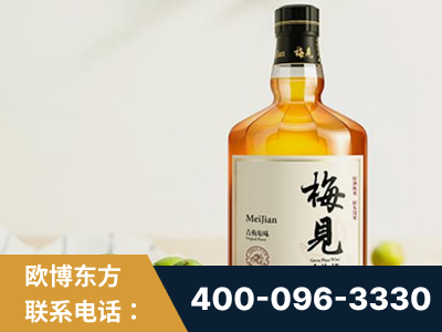 伊春-梅见青梅酒